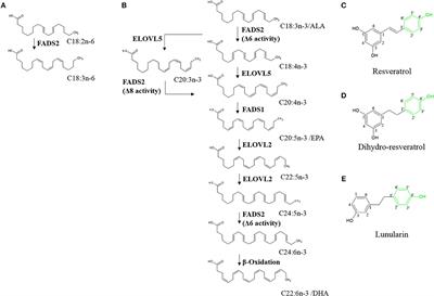 Resveratrol Modulates Desaturase Expression and Fatty Acid Composition of Cultured Hepatocytes